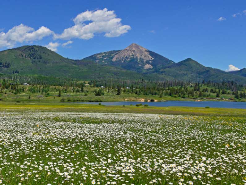 Yampa Valley Wellness Conference