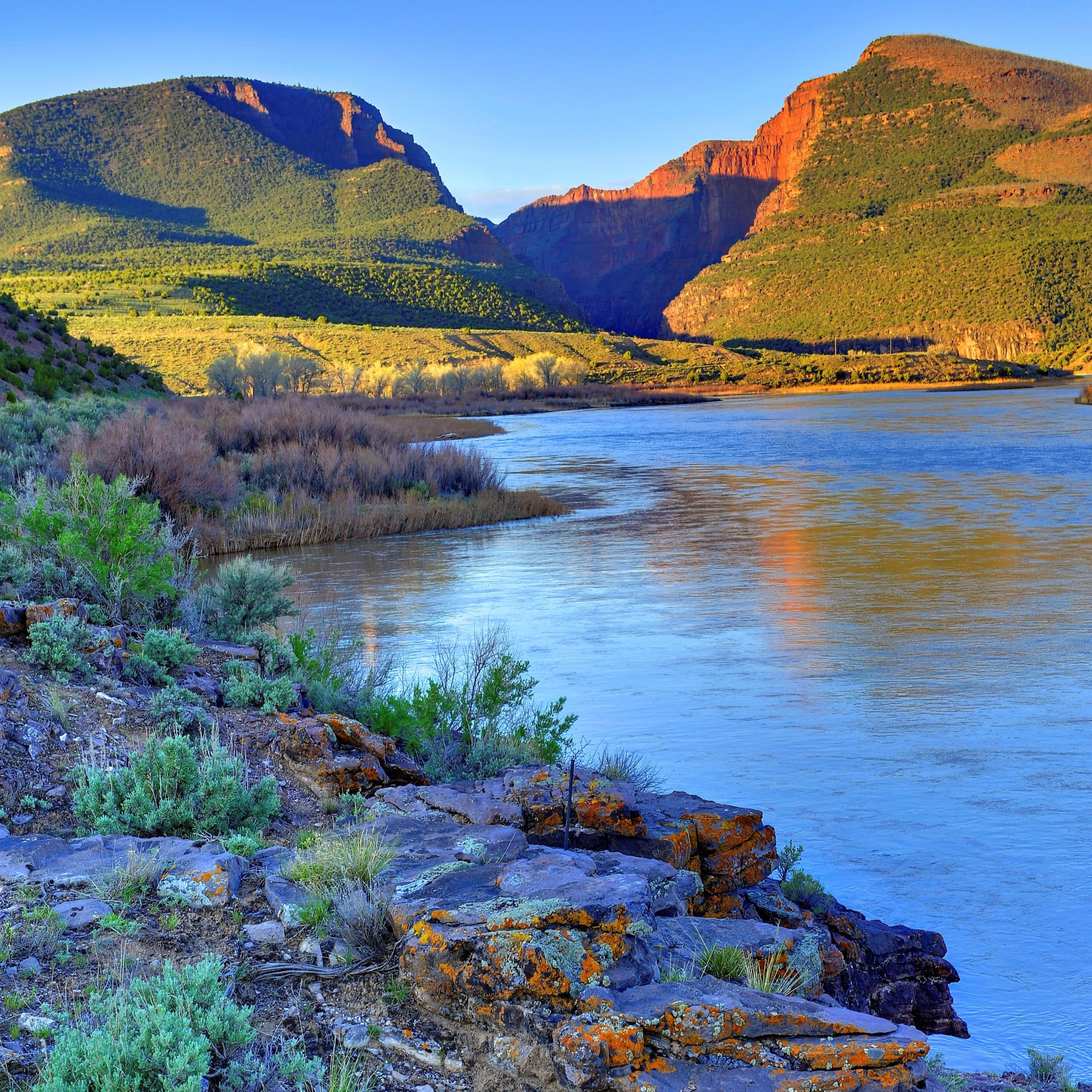 Imp.Inv.Infographic.FINAL_resize