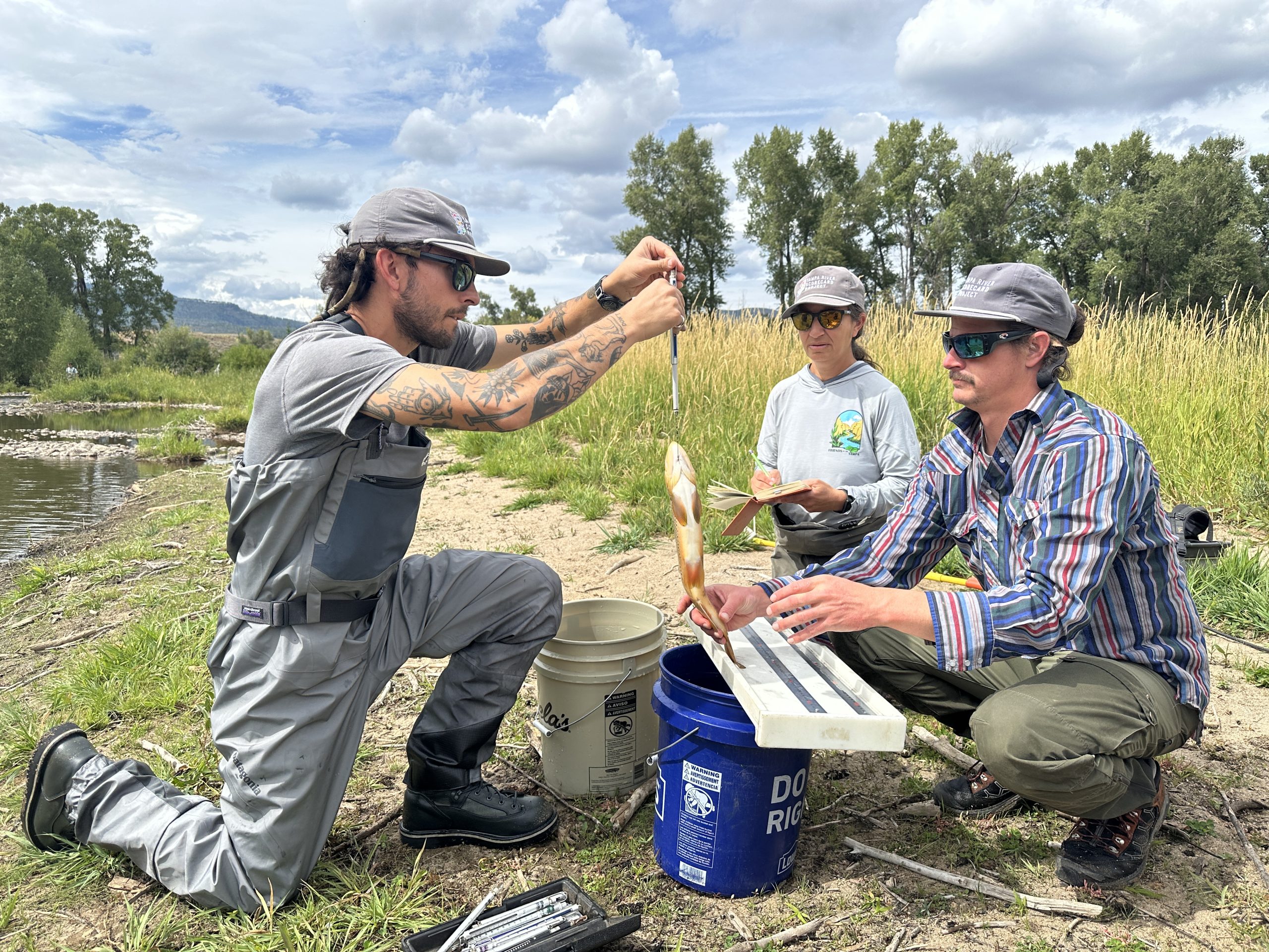 WHILD IMG_8456 Electrofishing FOY